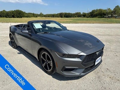 2025 Ford Mustang EcoBoost Premium