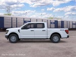 2026 Ford F-150 XL Fleet
