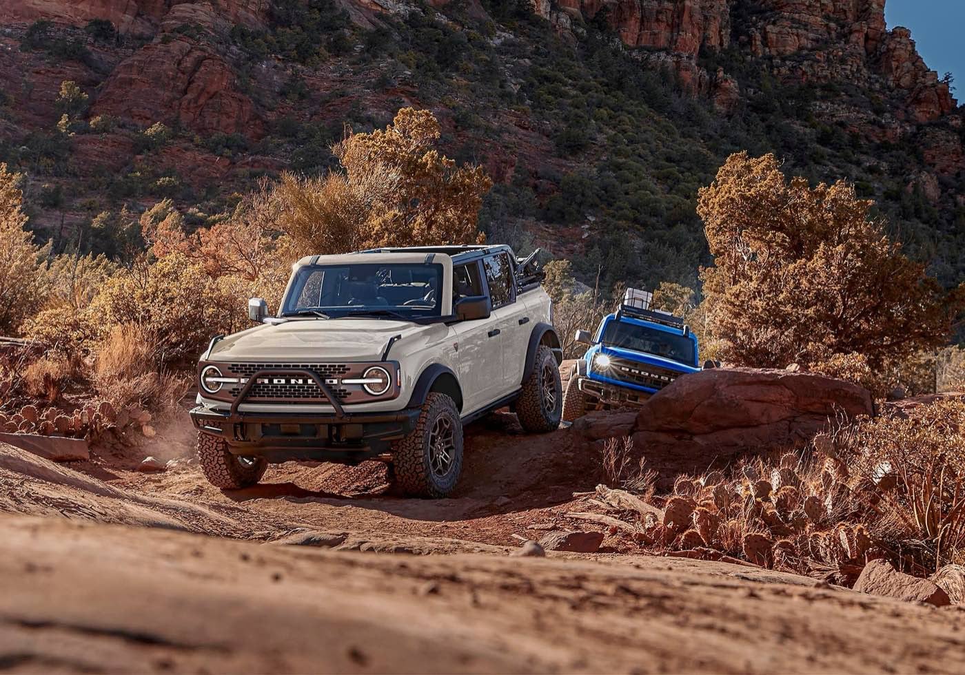 Two Ford Broncos driving on a scrubby dirt trail
